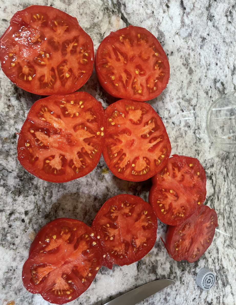 MidValley Tomato Fort | Mid Valley Greenhouse